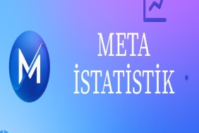 Meta İstatistik: SPSS Yardımı’nın Ardından Yeni Bir Adım